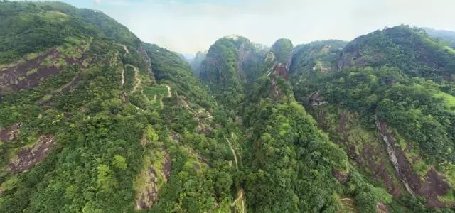 640.webp (15) 640.webp (15)