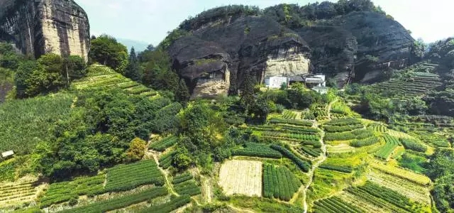 640.webp (17) 640.webp (17)