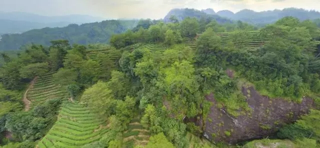 640.webp (20) 640.webp (20)