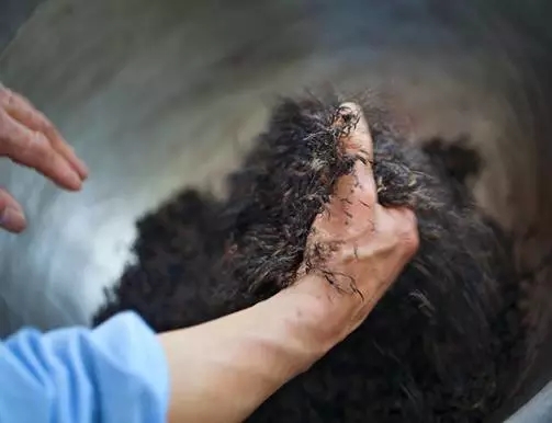 640.webp (44) 640.webp (44)