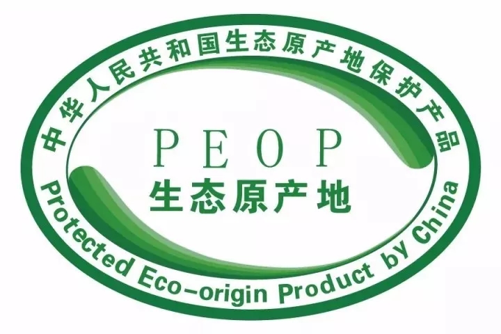 640.webp (37) 640.webp (37)