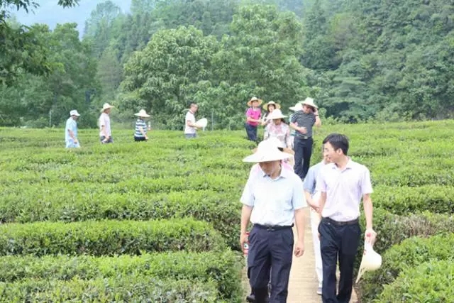 640.webp (38) 640.webp (38)