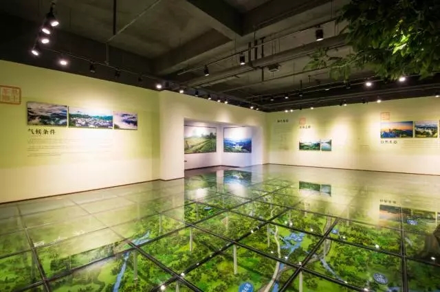 640.webp (14) 640.webp (14)