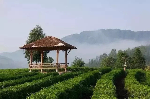 640.webp (17) 640.webp (17)