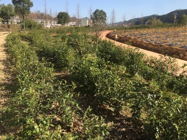 640.webp (55) 640.webp (55)