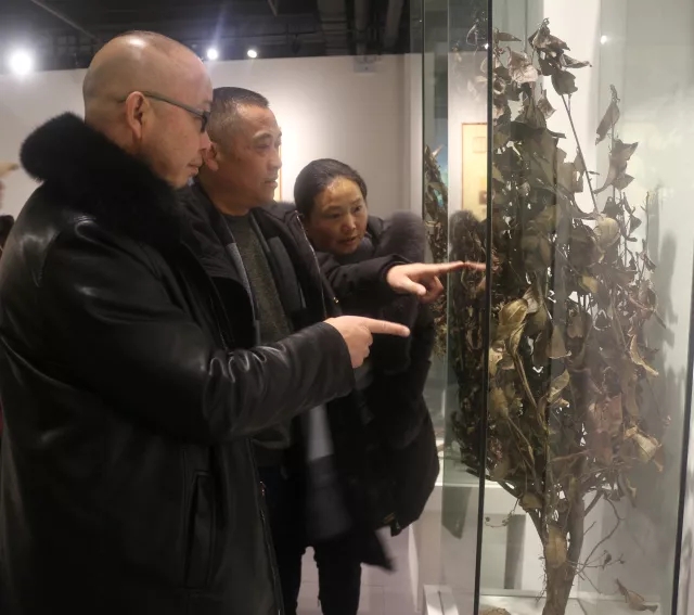 640.webp (23) 640.webp (23)