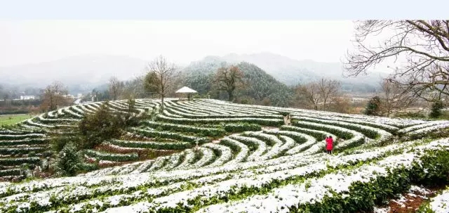 640.webp (16) 640.webp (16)