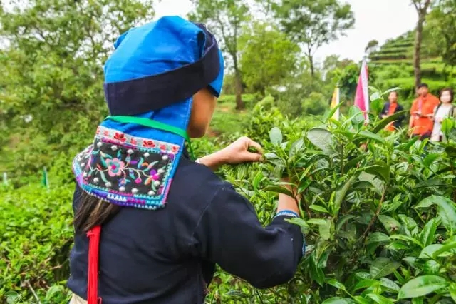 640.webp (14) 640.webp (14)