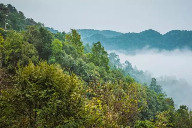 640.webp (17) 640.webp (17)