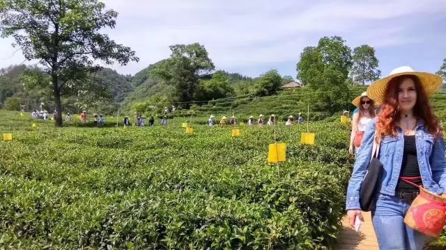 640.webp (3) 640.webp (3)