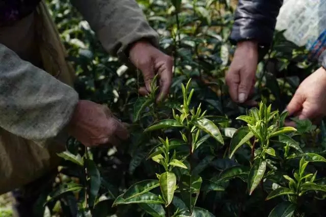 640.webp (18) 640.webp (18)