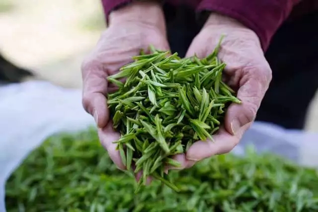 640.webp (19) 640.webp (19)